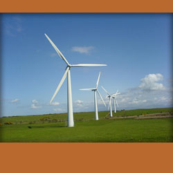 wind turbines in green field
